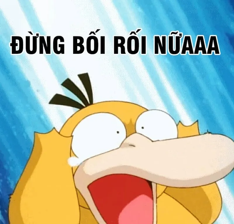Sưu tập ngay ảnh vịt vàng meme để thả thính bạn bè