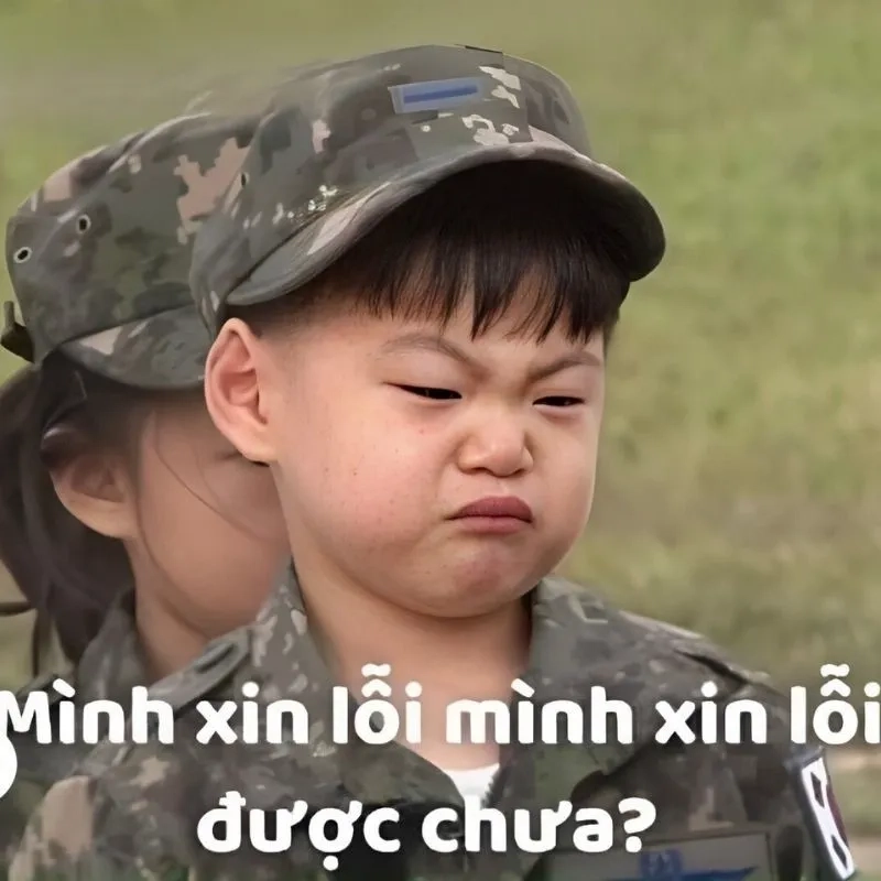 Meme xin lỗi là gì?