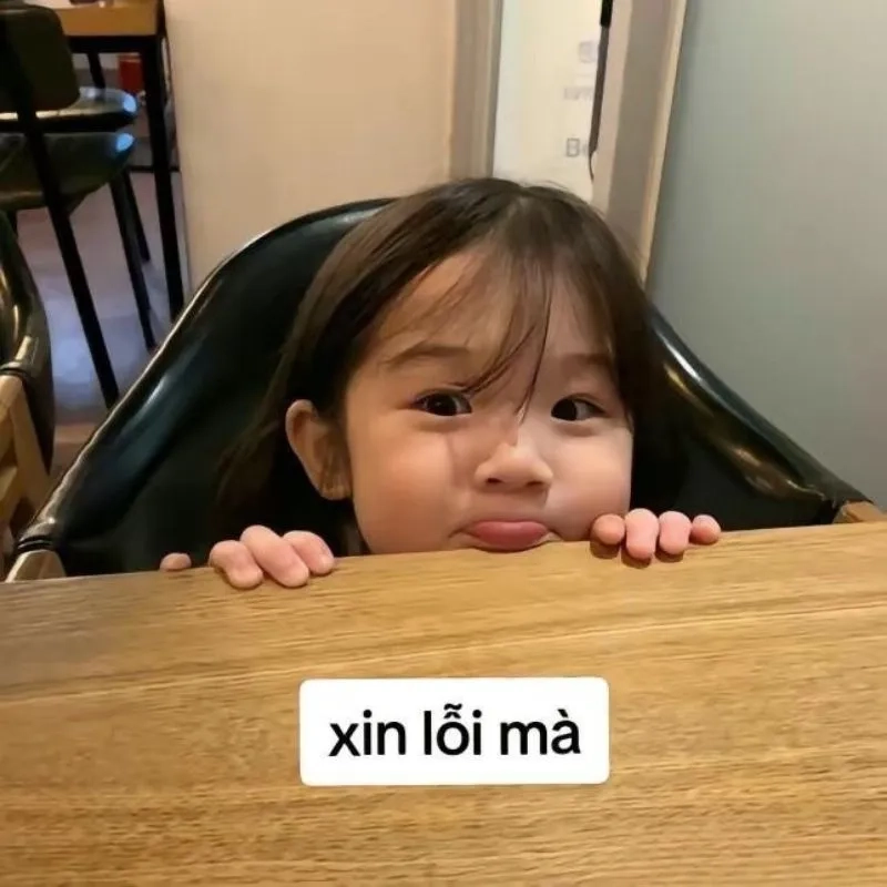 Gửi đến người ấy xin lỗi meme siêu đáng yêu khiến ai cũng cười