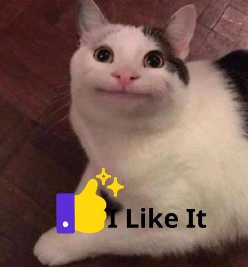 Gây bão mạng xã hội nhờ mèo meme like đáng yêu hết nấc