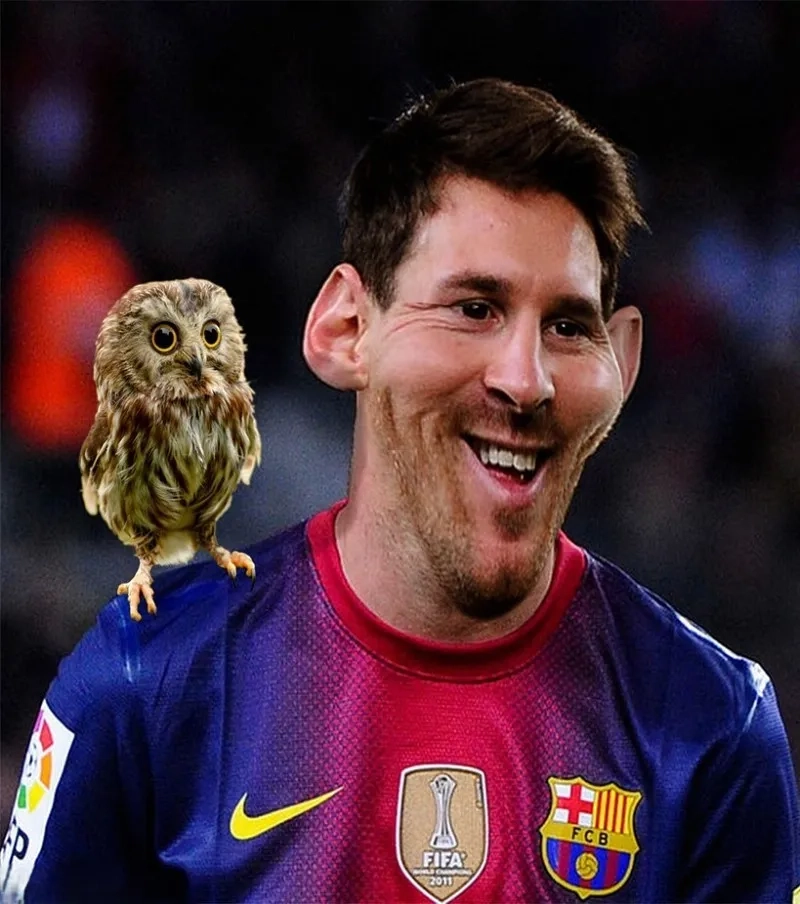 Bộ ảnh leo messi meme siêu hot đang trend