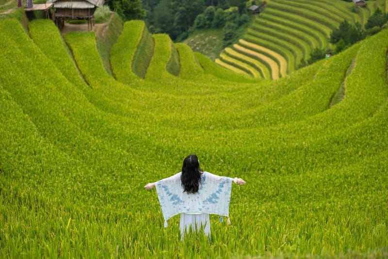 Tìm về Mù Cang Chải du lịch