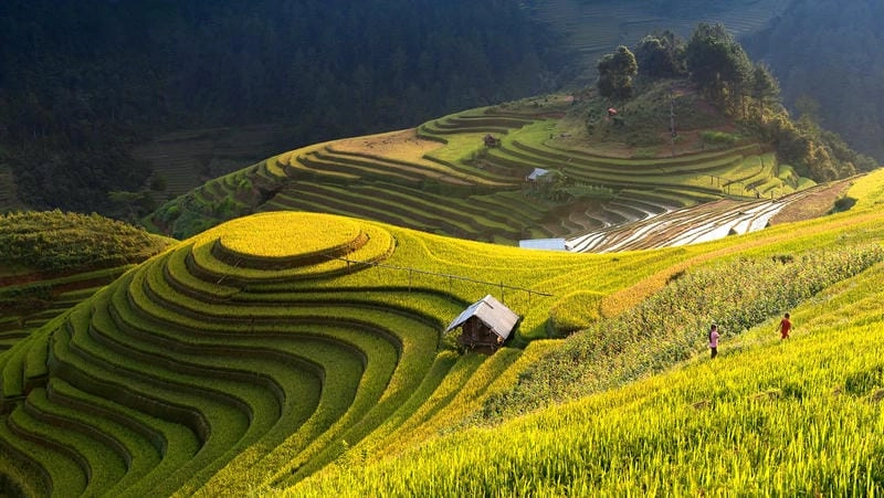 Cười sảng với Mù Cang Chải bình yên