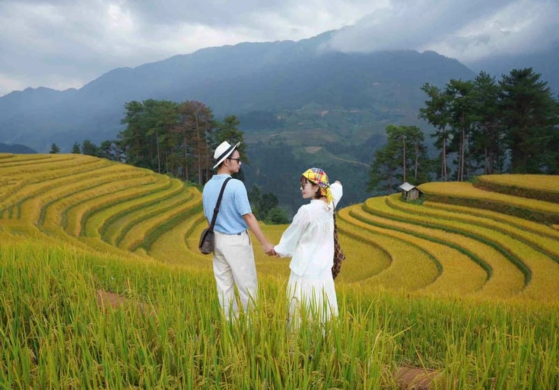 Tải ngay Mù Cang Chải hấp dẫn