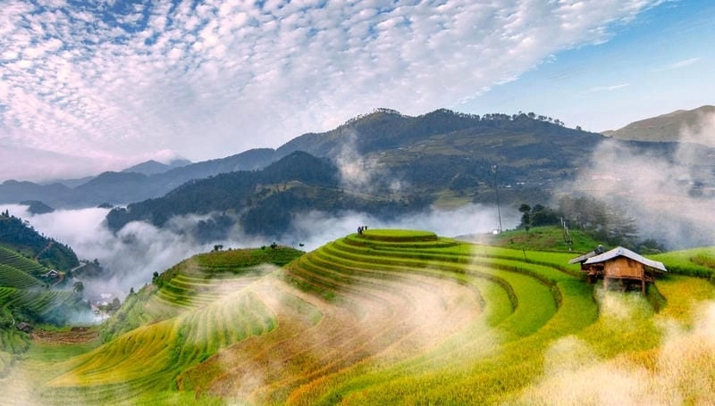 Cùng khám phá lý do Mù Cang Chải là điểm đến được yêu thích