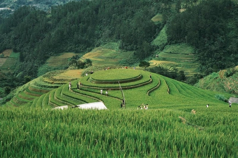 Săn những bức ảnh Mù Cang Chải hùng vĩ