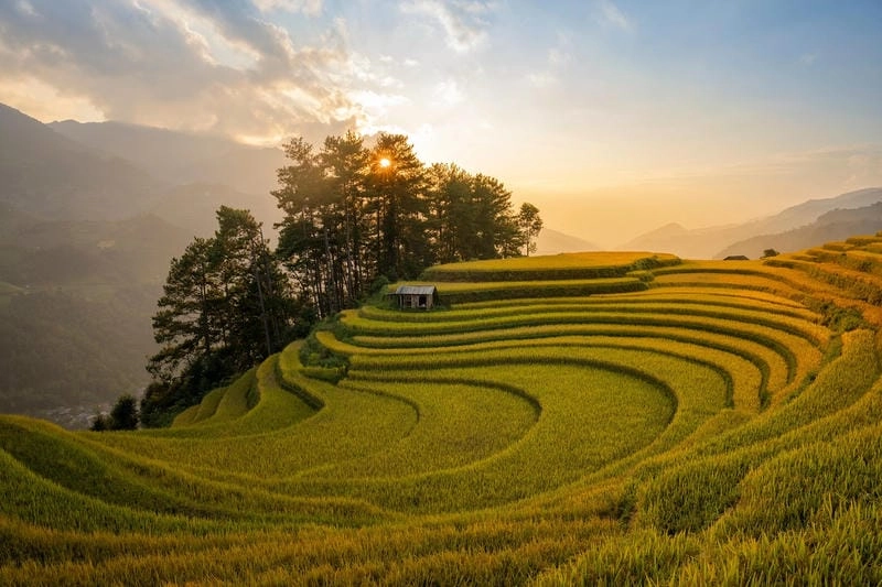 Gợi ý những bức ảnh Mù Cang Chải hoang sơ