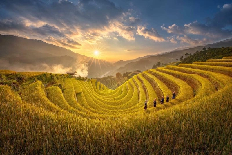 Cùng du ngoạn Mù Cang Chải thơ mộng