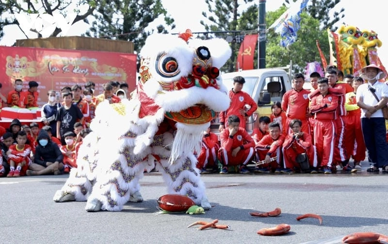 Sưu tầm những bức múa lân sư rồng nghệ thuật