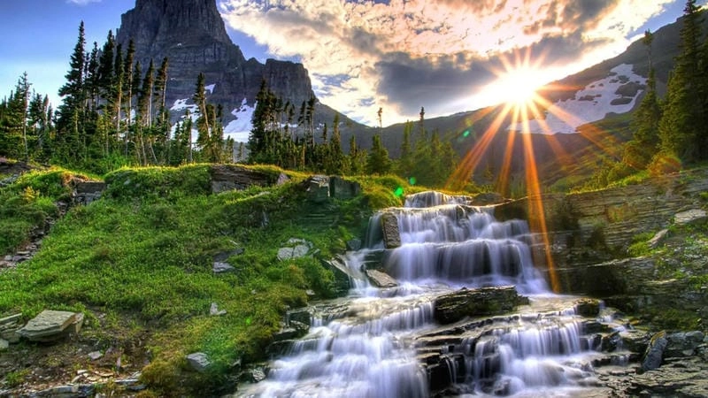 Thức dậy cùng nature wallpaper flowers