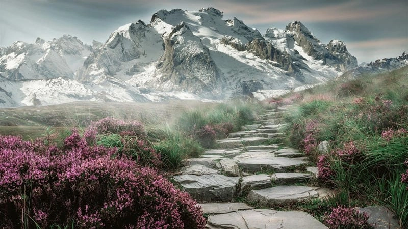 Tổng hợp nature wallpaper android