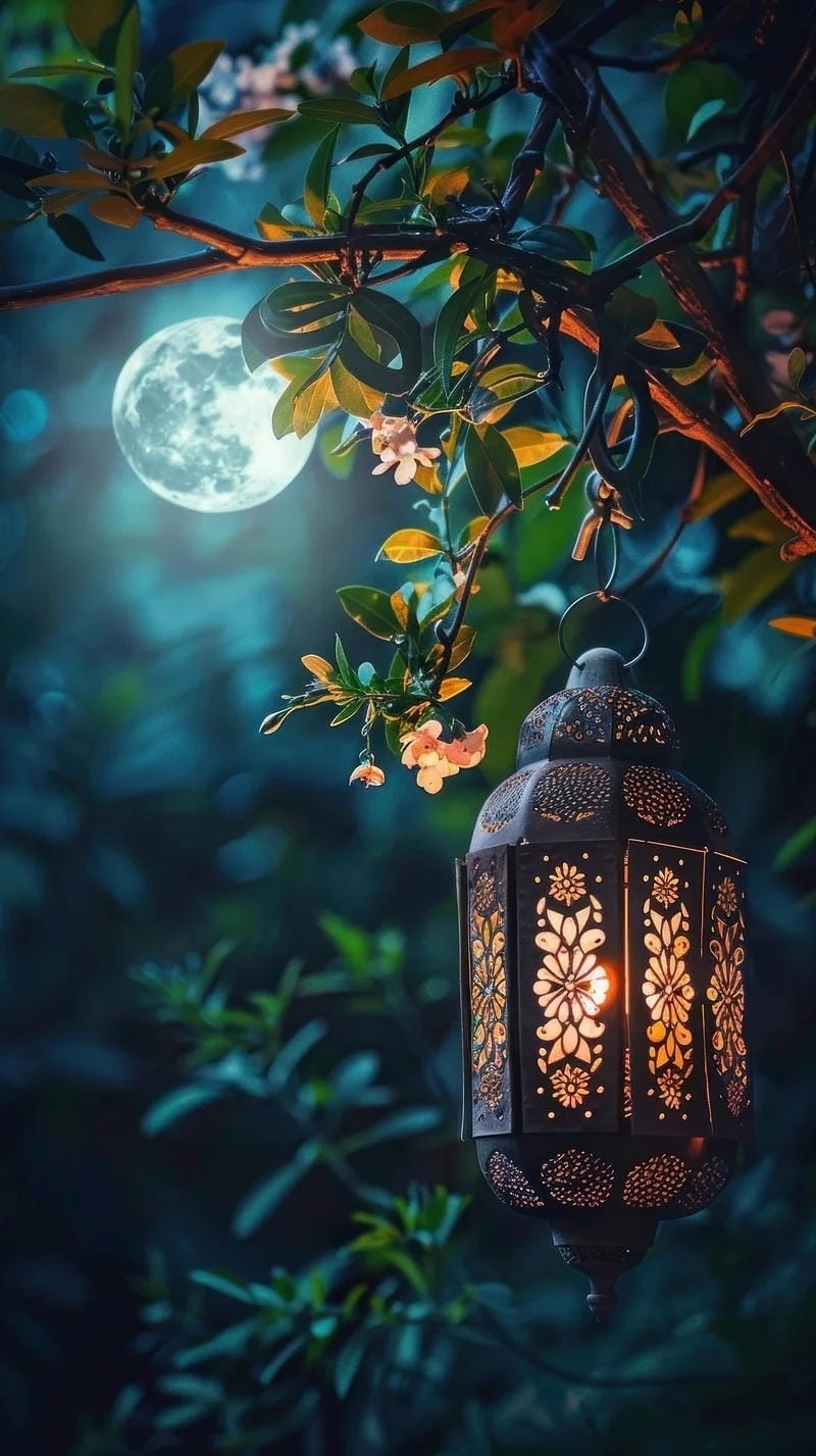 Săn những bức nature wallpaper iphone