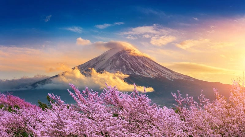 Ngắm nhìn núi Phú Sĩ Nhật Bản