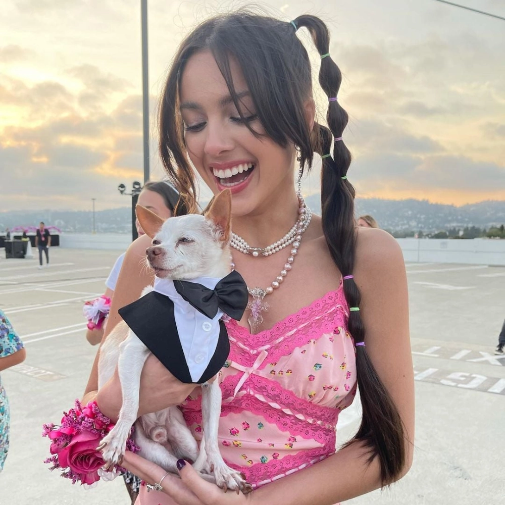 Olivia Rodrigo age nữ ca sĩ sinh năm 2003