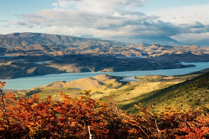 Cười sảng với Patagonia kỳ diệu