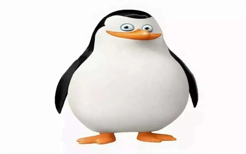 Khi bạn cần phân tích tình huống hãy nhớ kowalski analysis meme