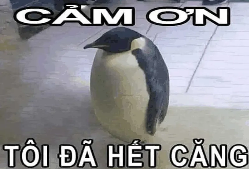 Khi tình huống quá khó hiểu gọi ngay kowalski analysis meme