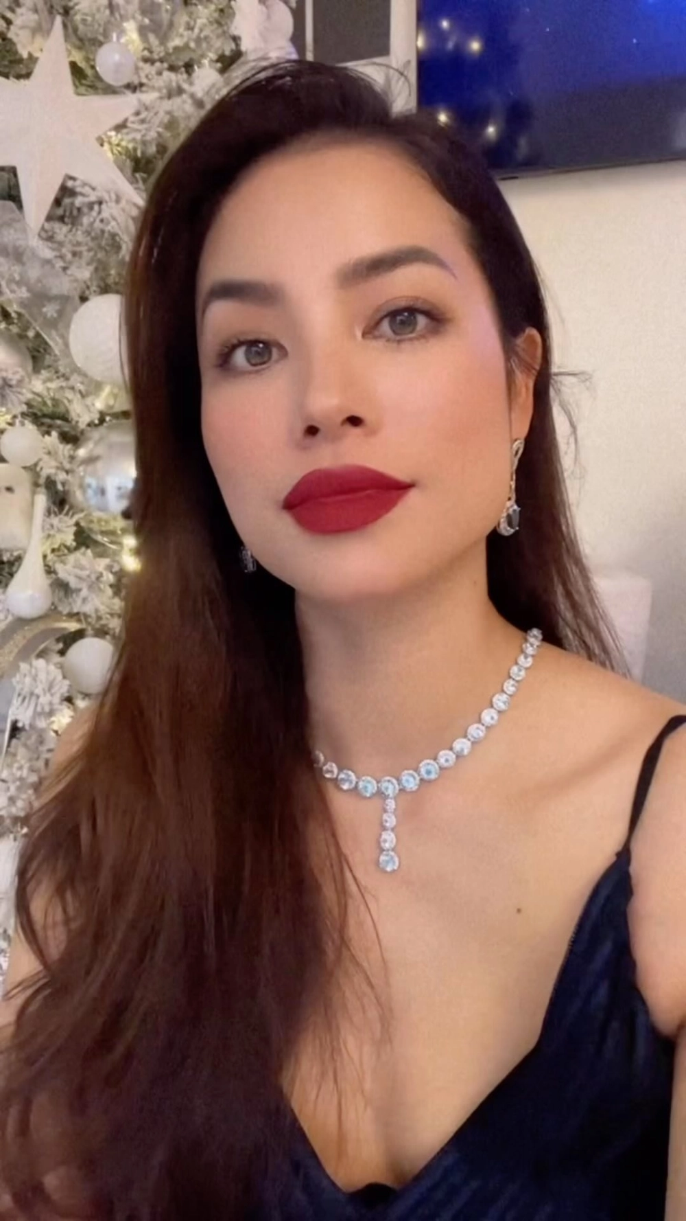 Vương miện Phạm Hương và biểu tượng của Hoa hậu Hoàn vũ