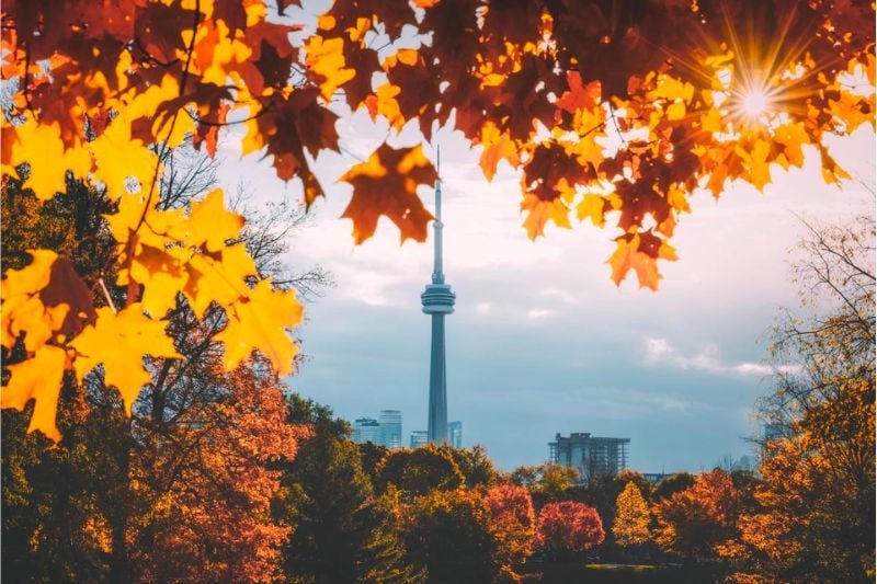 Cười sảng với phong cảnh Canada thiên nhiên