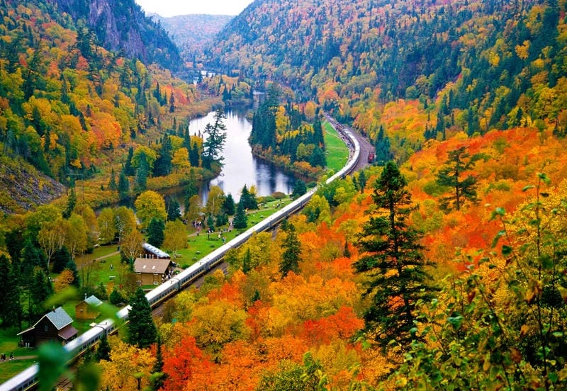 Săn những bức phong cảnh Canada rừng xanh
