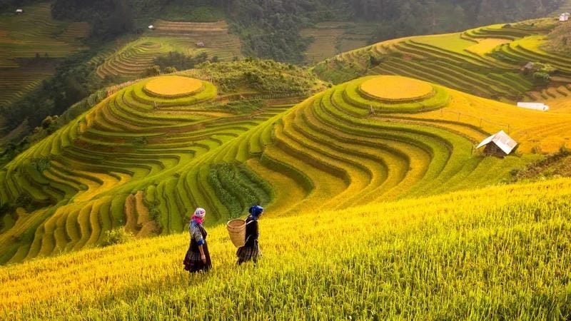 Lạc lối trong phong cảnh Châu Á thanh bình