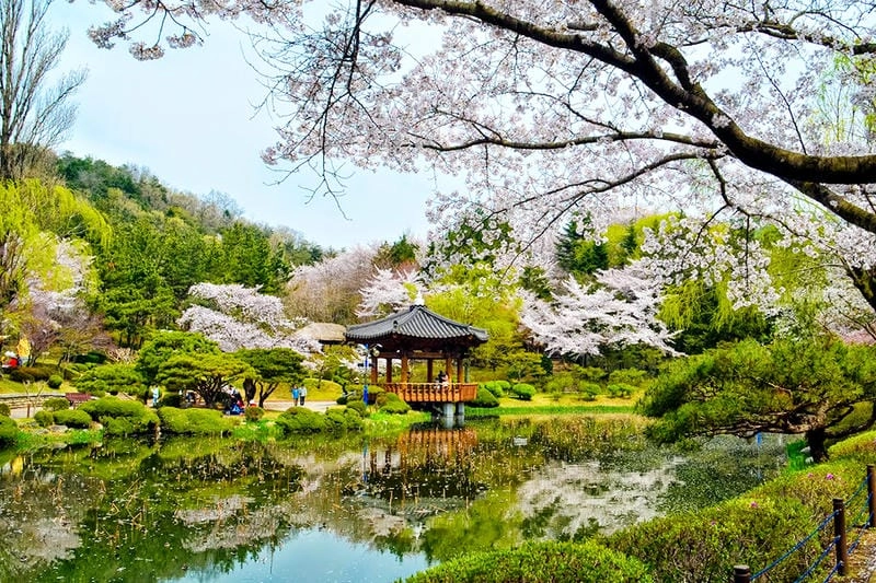 Tìm về phong cảnh Hàn Quốc tuyệt đẹp