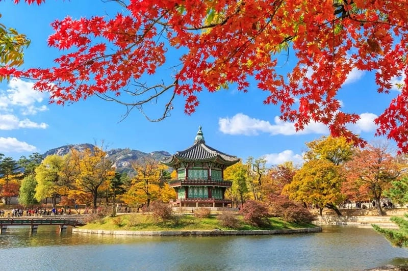 Ngắm nhìn phong cảnh Hàn Quốc hùng vĩ