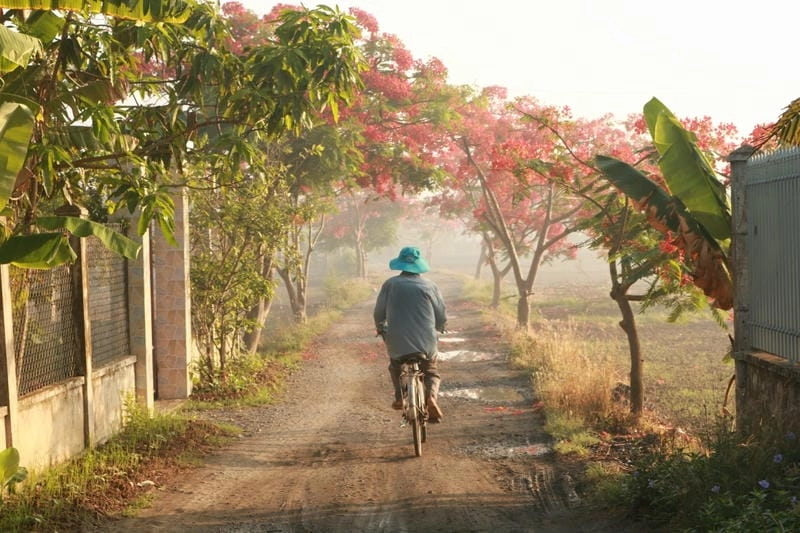 Lạc lối trong phong cảnh làng quê núi non