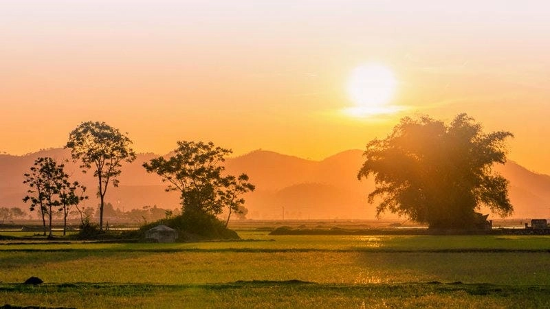 Tìm về phong cảnh làng quê lãng mạn