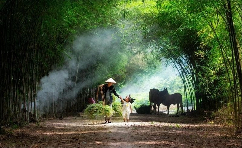 Tìm hiểu vì sao phong cảnh làng quê lại có sức hút đặc biệt