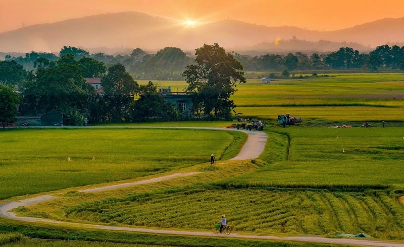 Chiêm ngưỡng vẻ đẹp phong cảnh làng quê yên bình