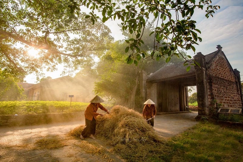 Thức dậy cùng phong cảnh làng quê mùa xuân