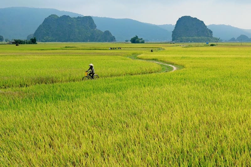 Gợi ý những phong cảnh làng quê mùa thu