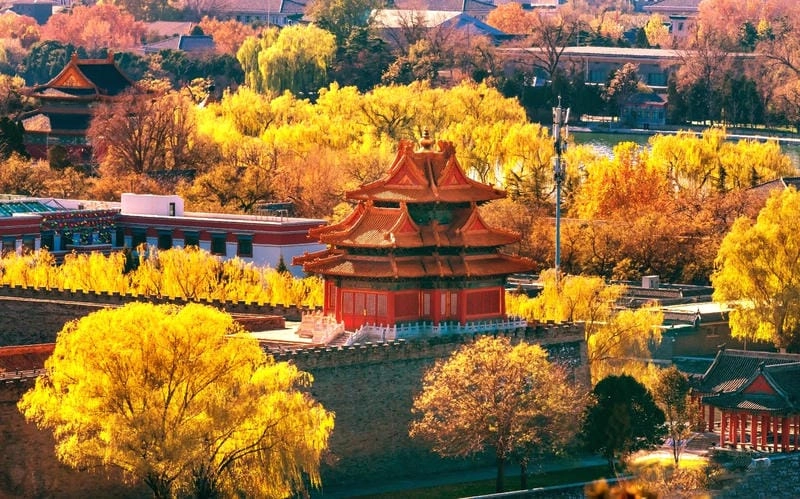 Săn những bức phong cảnh mùa thu lá vàng
