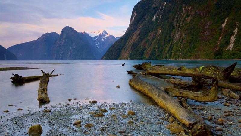 Cùng du ngoạn phong cảnh New Zealand 4k