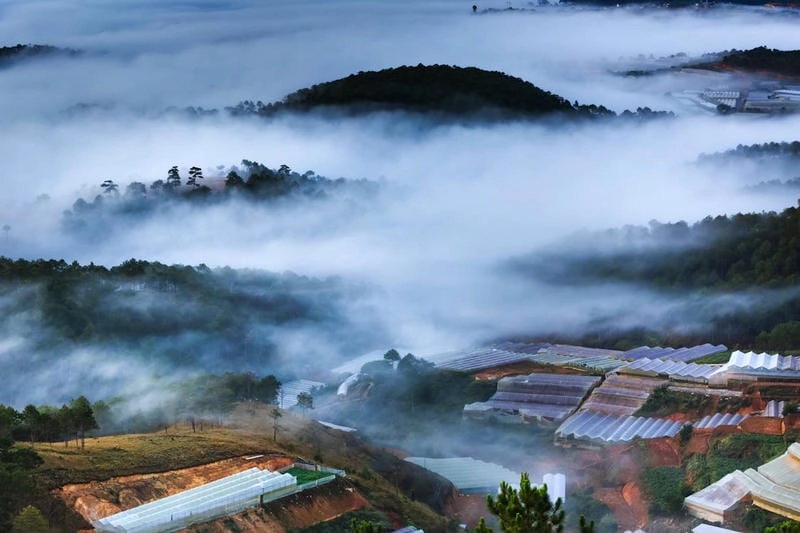 Tìm về phong cảnh sương mù tuyệt đẹp
