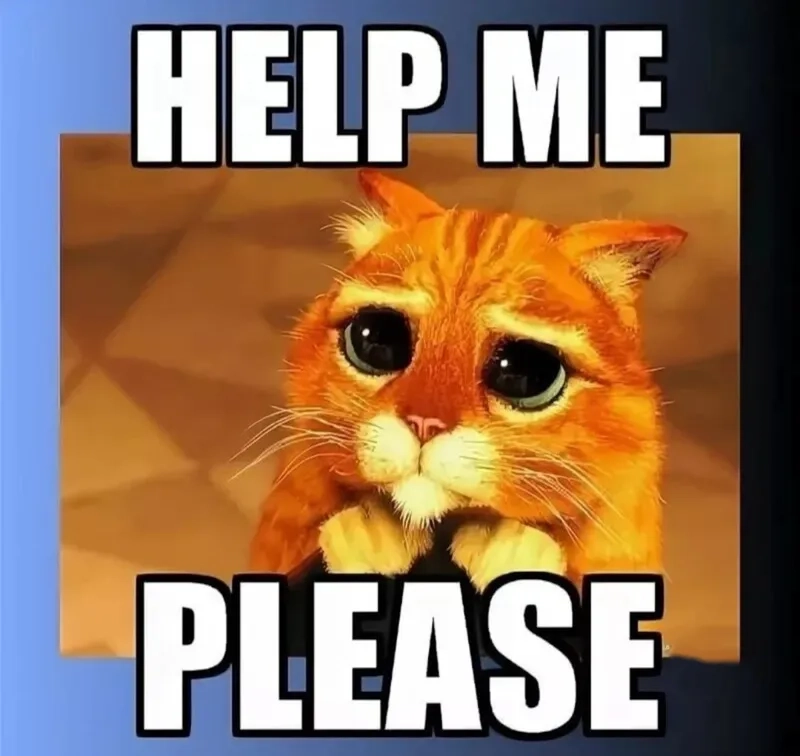 Cười xỉu với hình ảnh siêu dễ thương từ cat please meme