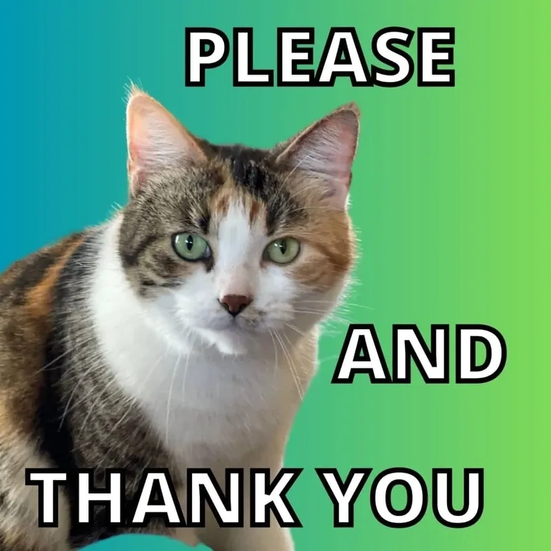 Phản ứng bất ngờ trong please god no meme ai xem cũng thích