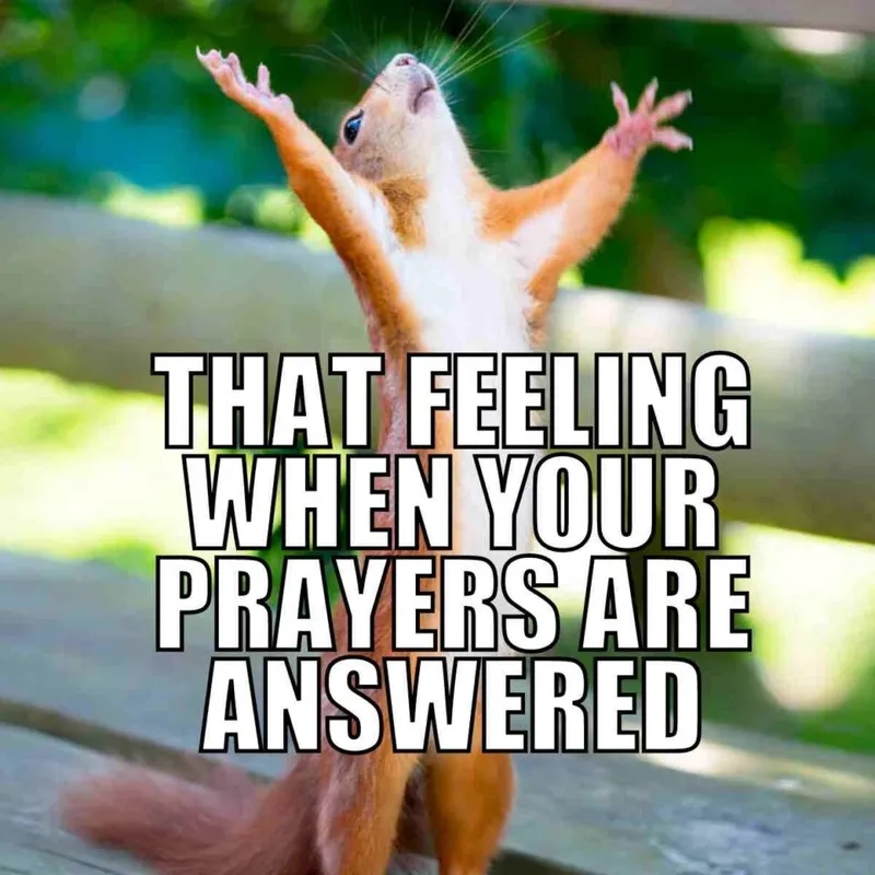 Hình ảnh praying hands emoji meme khiến dân mạng thích thú