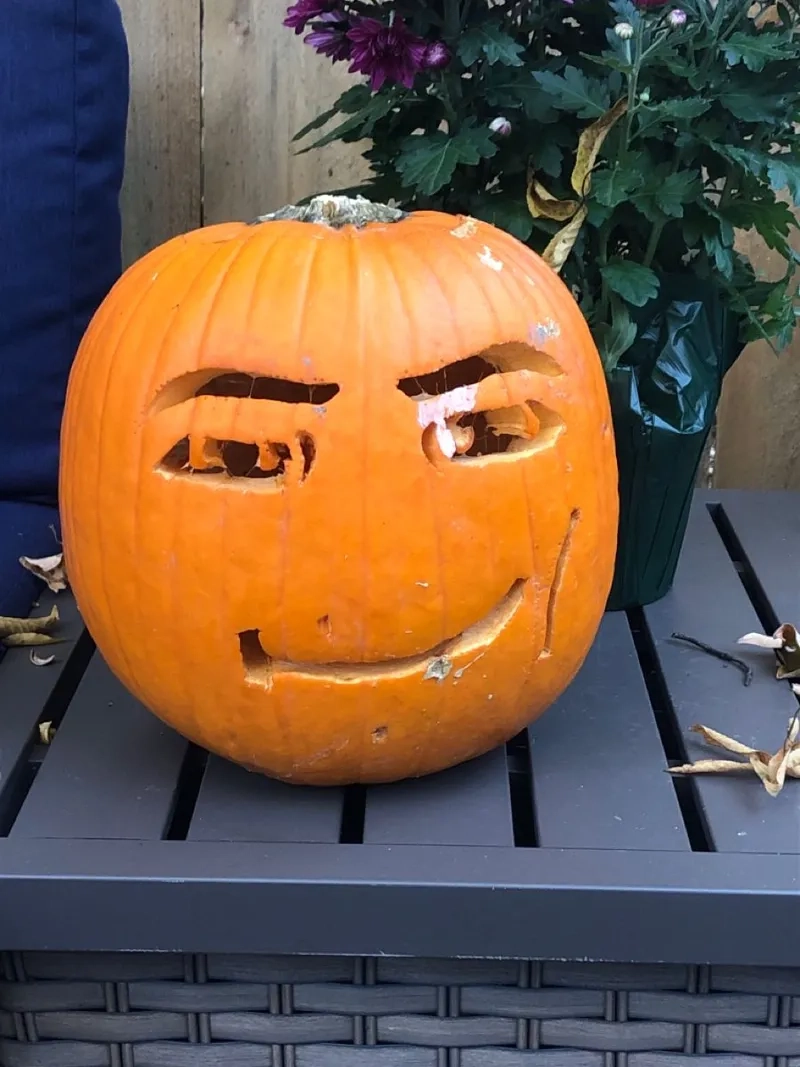 Ai mê đồ ngọt chắc chắn không bỏ qua pumpkin spice meme