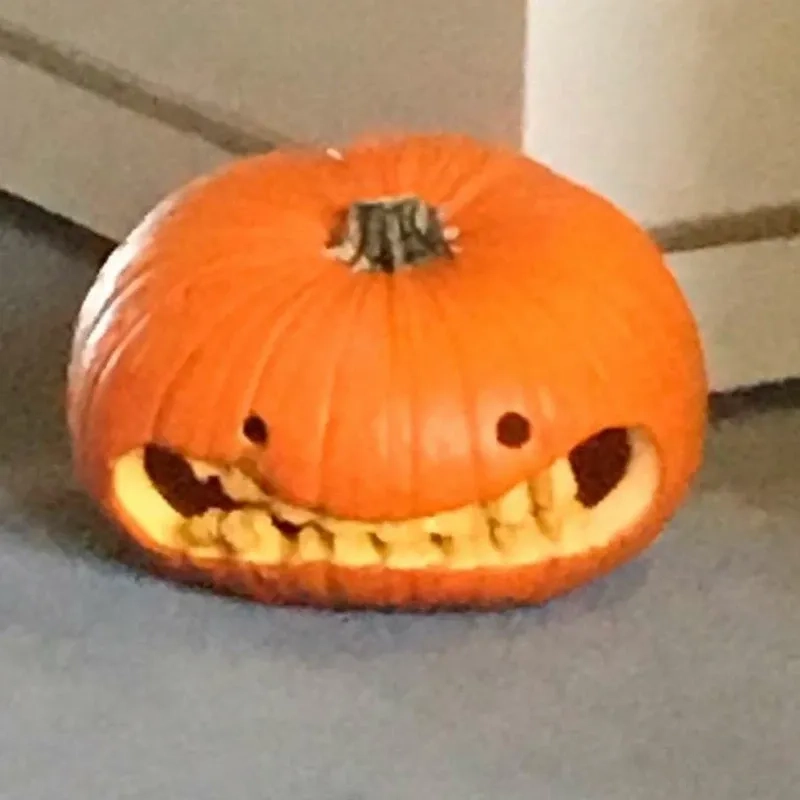 Sợ mà vẫn muốn cười chính là vibe của spooky pumpkin meme