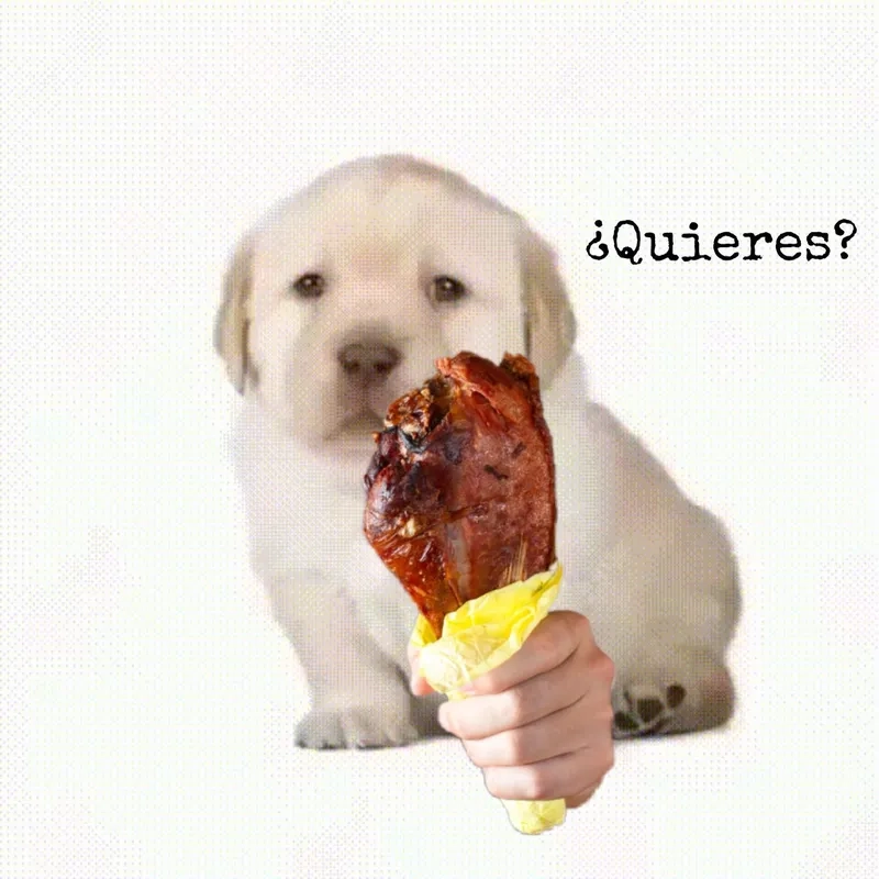 Giải thích chi tiết quieres meaning trong meme hot
