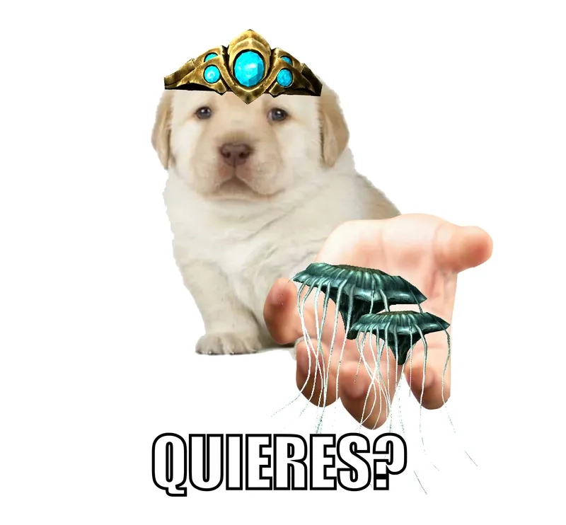 Bật mí bí mật quieres meme origin ít ai biết