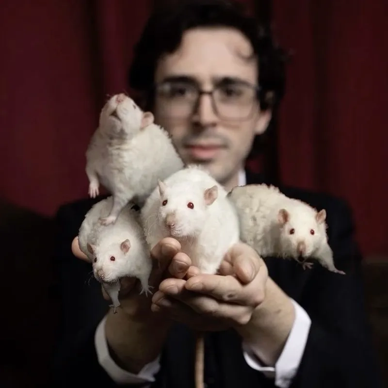 Khi funny rat meme khiến cả mạng xã hội phải cười nghiêng ngả