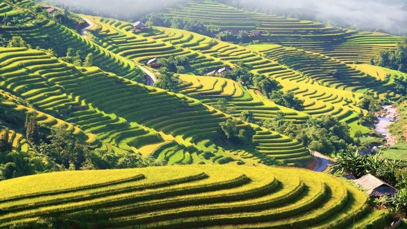 Tìm về ruộng bậc thang Sapa bình yên