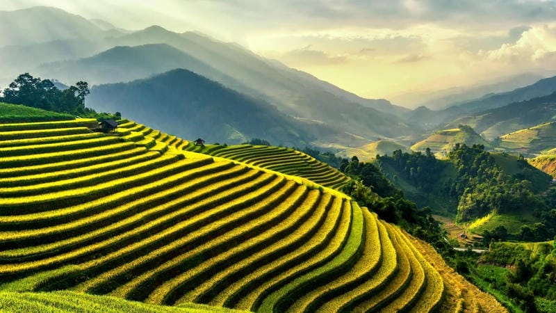 Ngắm nhìn ruộng bậc thang Sapa bình minh