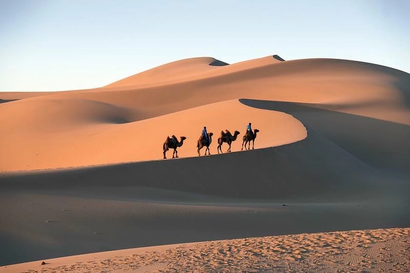Cùng khám phá tại sao sa mạc Gobi lại hấp dẫn du khách