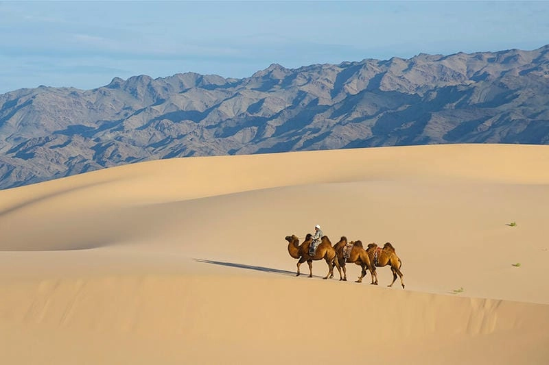 Sưu tầm những bức sa mạc Gobi hoang sơ