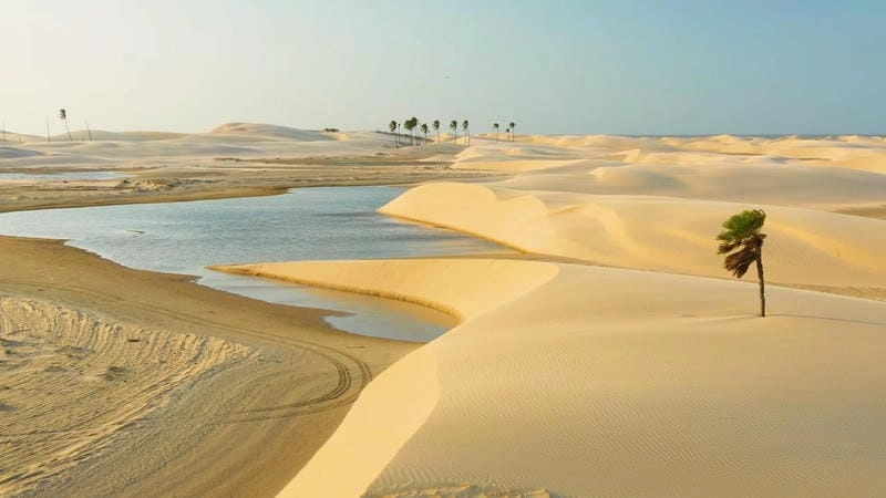 Sưu tầm những bức sa mạc Sahara bình yên