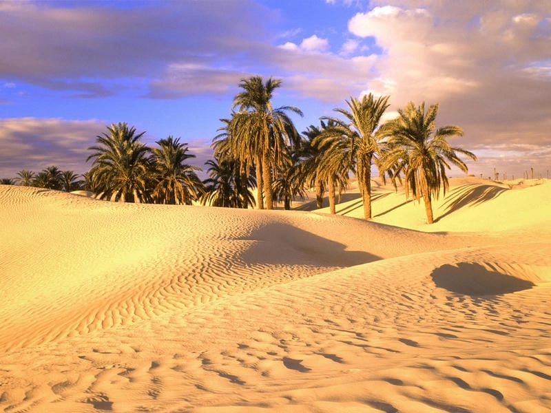 Chiêm ngưỡng vẻ đẹp sa mạc Sahara hoang sơ